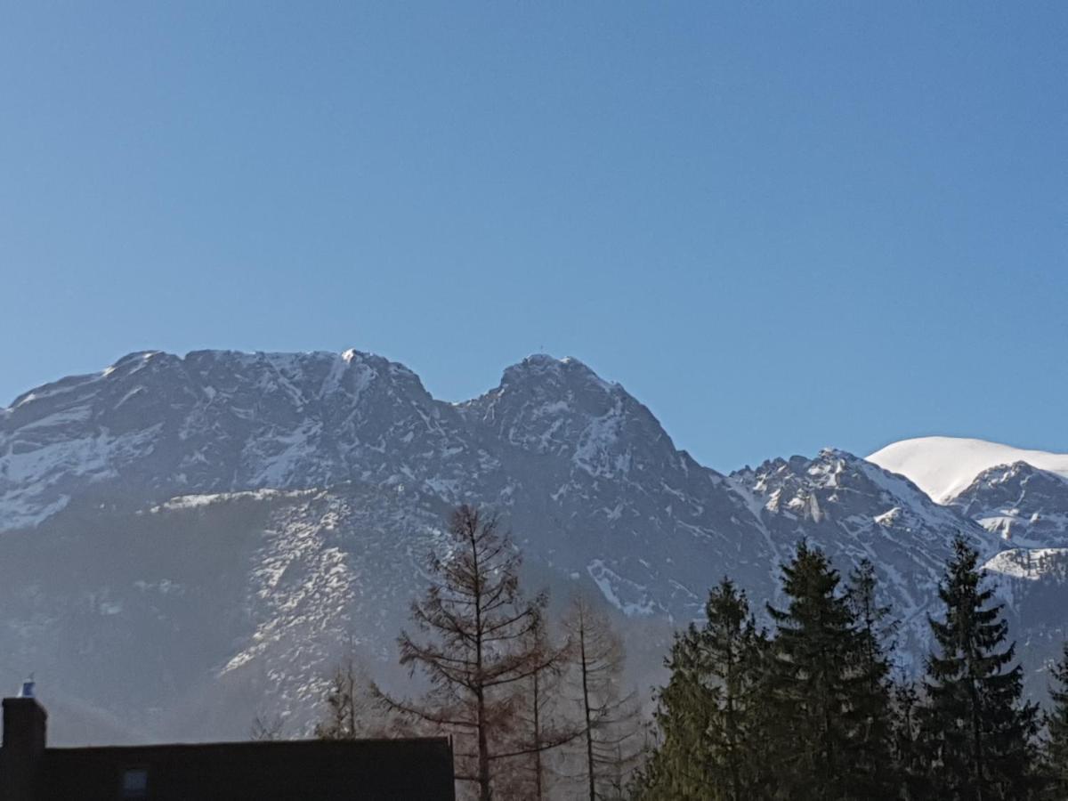 Willa Za Strugiem Zakopane Eksteriør billede